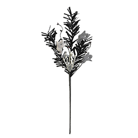 Ghost Stems