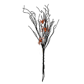 Spider Stem