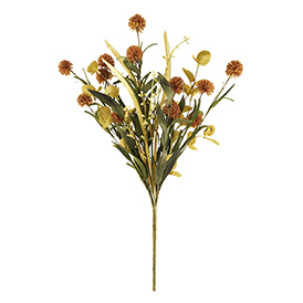 Pompom Bush
