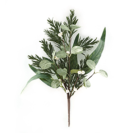 Eucalyptus Pick