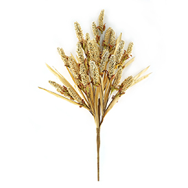 Heather Grass Bush