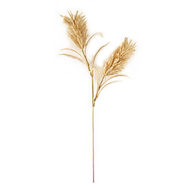 Raffia Grass Stem