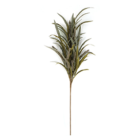 Heather Grass Stem