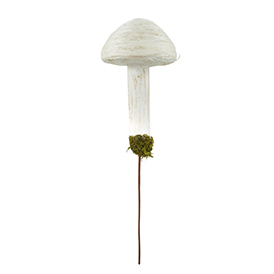 Mushroom Pick