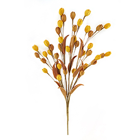 Floral Pick