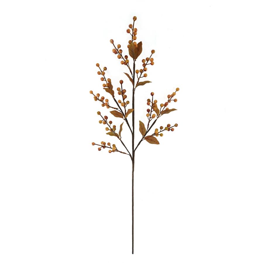 Berry Stem