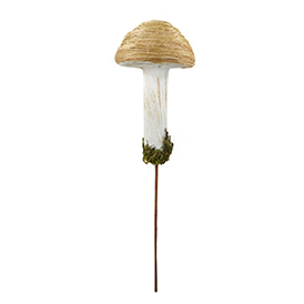 Mushroom Pick