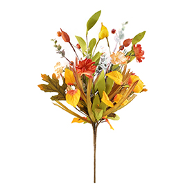 Fall Lvs Bush