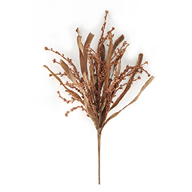 Foam Grass Bush