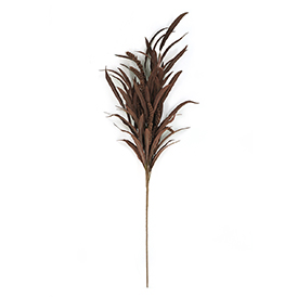 Heather Grass Stem