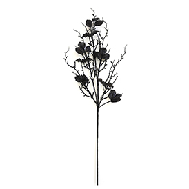 Bat Stem