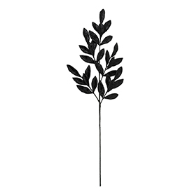 Laurel Stem