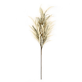 Heather Grass Stem