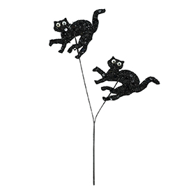 Cat Pick