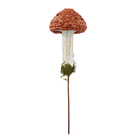 Mushroom Pick