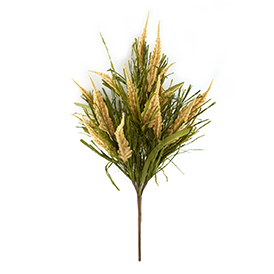 Heather Grass Bush