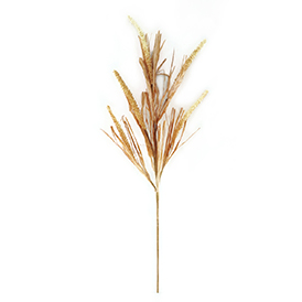 Heather Grass Stem