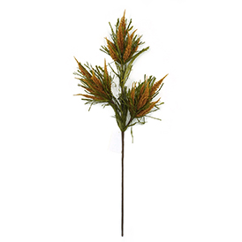 Heather Grass Stem