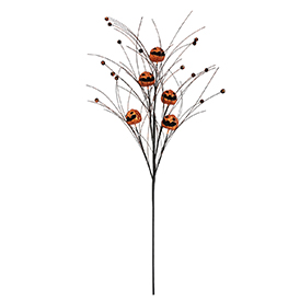 Pumpkin Stem