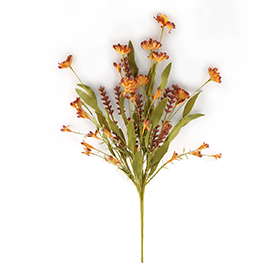 Wildflowers Bush