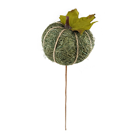 Pumpkin Pick