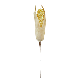 Corn Pick