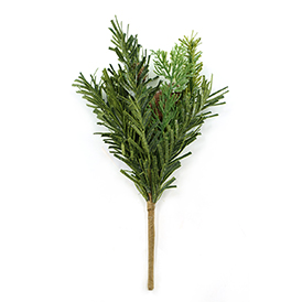 Pine Bush