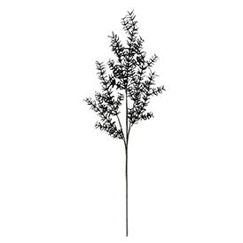 Black Stem