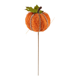 Pumpkin Pick