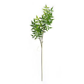 Greenery Stem