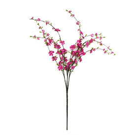 Cherry Blossom Stem