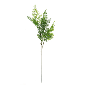 Greenery Stem