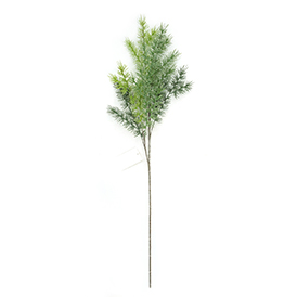 Greenery Stem