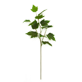 Greenery Stem