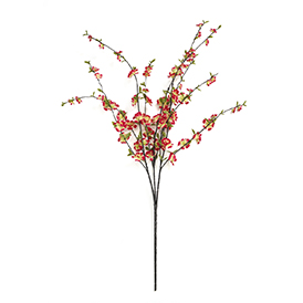 Cherry Blossom Stem
