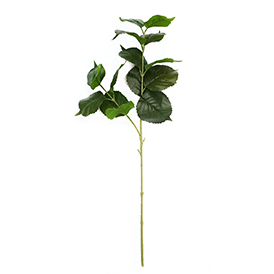 Greenery Stem