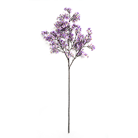 Wildflower Stem