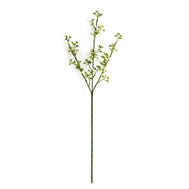Wildflower Stem