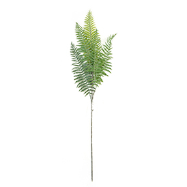 Greenery Stem