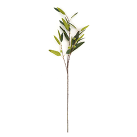 Greenery Stem