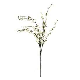 Cherry Blossom Stem