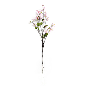 Wildflower Stem