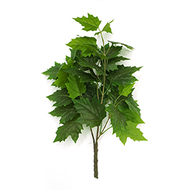 Greenery Bush