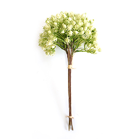 Spring Pick