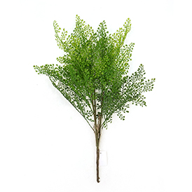 Greenery Bush