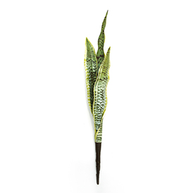 Greenery Pick