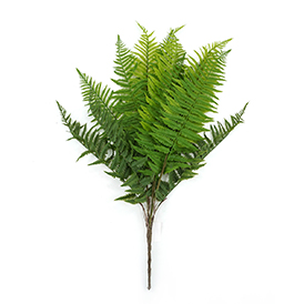 Greenery Bush