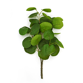 Greenery Bush