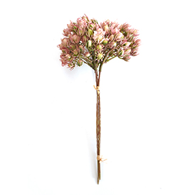 Spring Pick