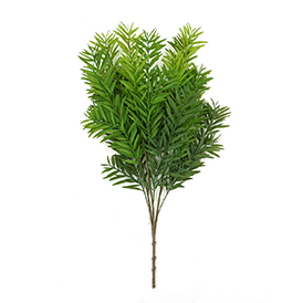 Greenery Bush